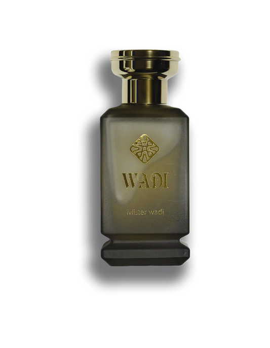 Mister wadi 100ML